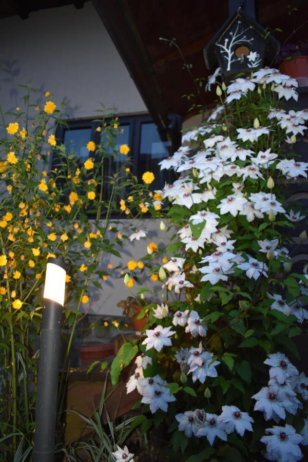 Villa Clematis House Voronet Esterno foto