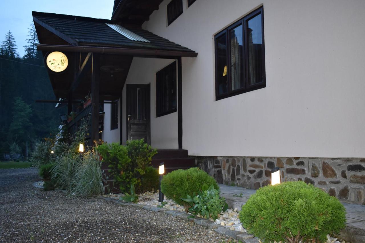 Villa Clematis House Voronet Esterno foto