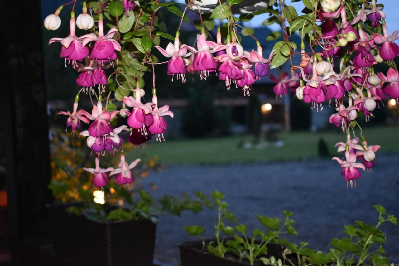 Villa Clematis House Voronet Esterno foto
